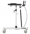 Platform Rollator